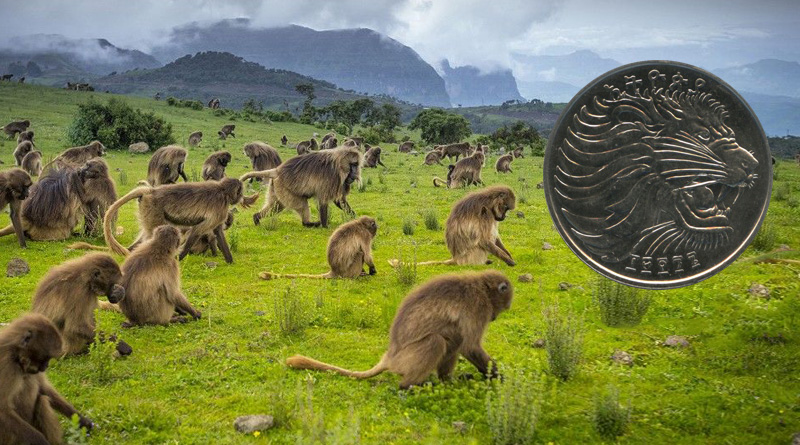 Монеты Эфиопии
